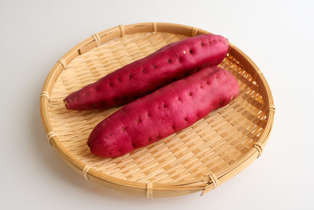 栄養指導コラム